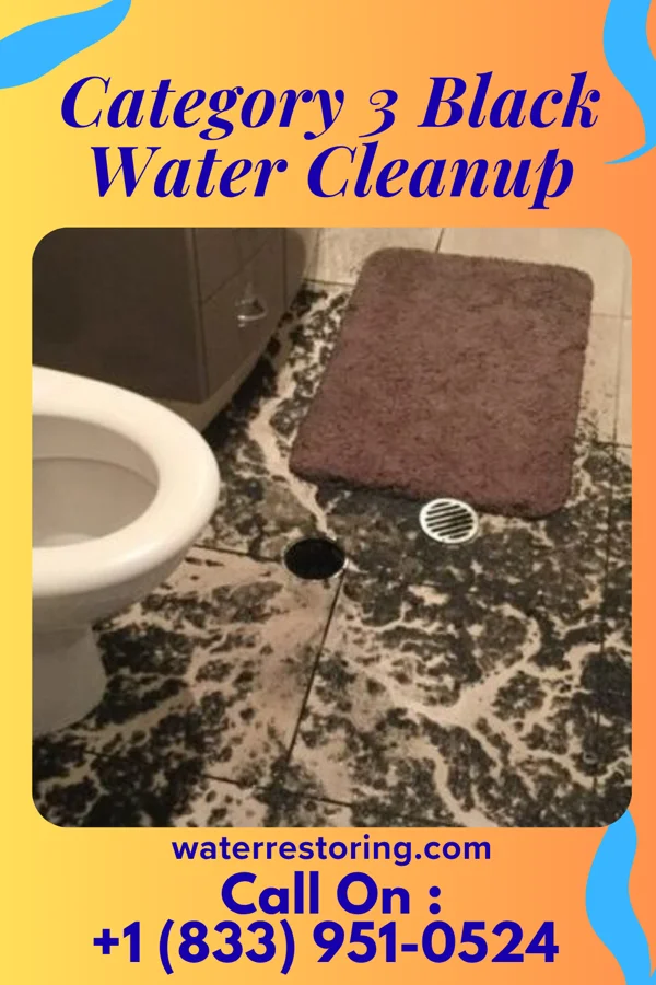 Category 3 Black Water Cleanup in Boswell, PA
