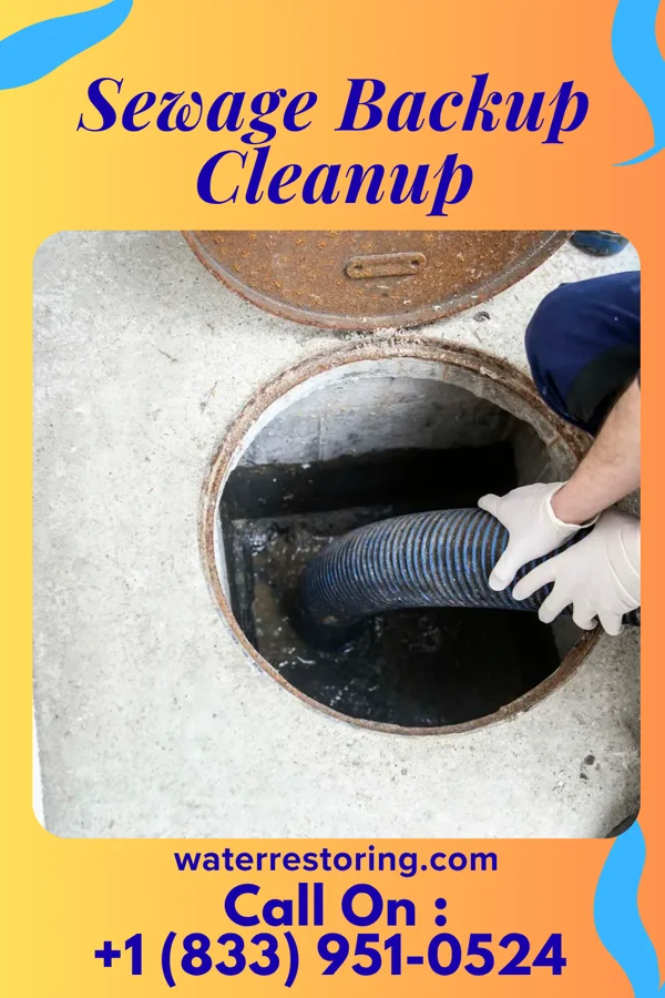 Sewage Backup Cleanup in Boswell, PA