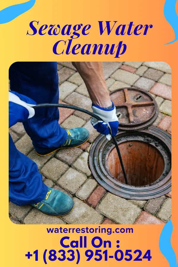 Sewage Water Cleanup in Boswell, PA