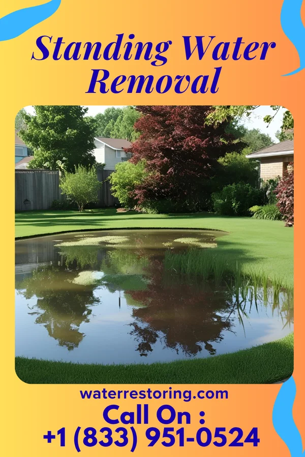 Standing Water Removal in Boswell, PA